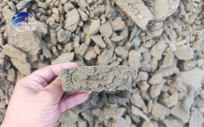 各位朋友聽一句勸，用傳統的水處理藥劑成本更高！-青島仕駿