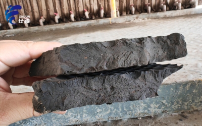 醫藥污泥處理中的污泥增效劑應用探索-青島仕駿