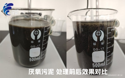 污泥增效劑：激活厭氧污泥潛能，重塑資源化新格局-青島仕駿