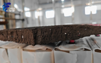 污泥增效劑助力環保事業，提高脫水效率、縮短周期-青島仕駿