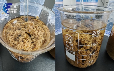 剖析工業(yè)污泥深度脫水藥劑如何選擇-青島仕駿