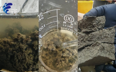 污泥脫水不用反復(fù)試錯(cuò)！青島仕駿免費(fèi)上門 + 定制方案一步到位