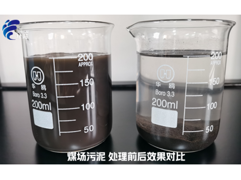 洗煤專用污泥脫水劑的有點有哪些-青島仕駿