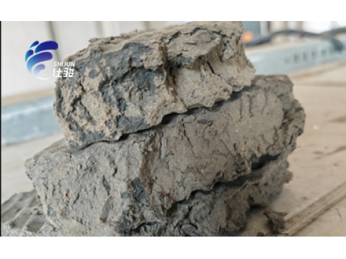 市政污泥脫水處理:污泥調(diào)理劑的重要性-青島仕駿