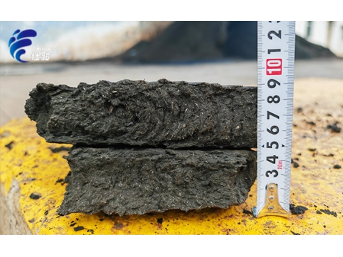 造紙污泥深度脫水:提高進(jìn)泥量,實(shí)現(xiàn)泥餅自行脫落-青島仕駿