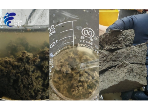 污泥脫水不用反復(fù)試錯(cuò)！青島仕駿免費(fèi)上門 + 定制方案一步到位