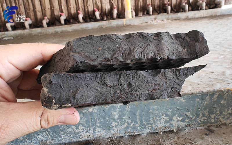 浙江某大型醫(yī)藥污泥調(diào)理